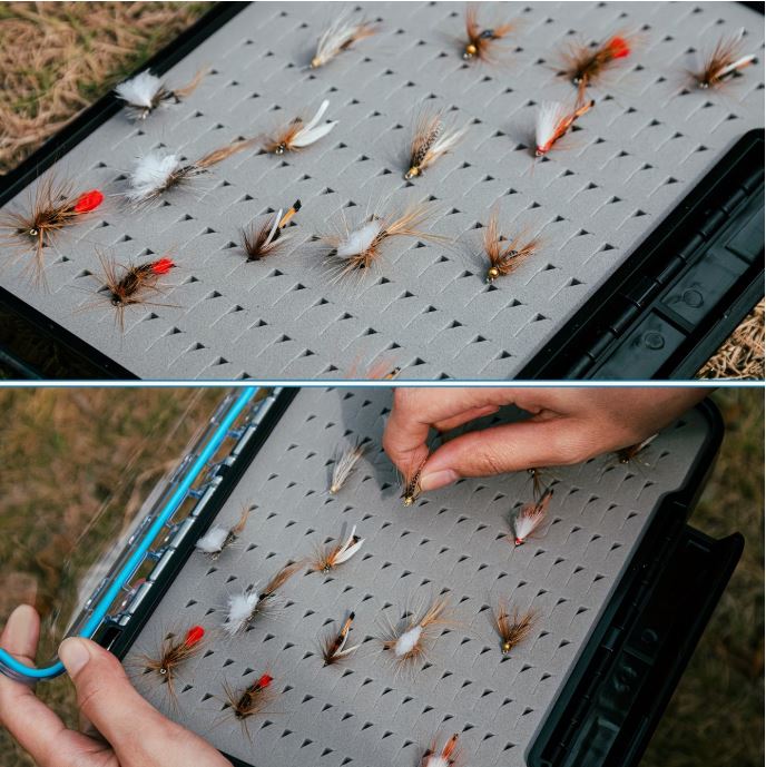 Portable Fly Bait Organizer