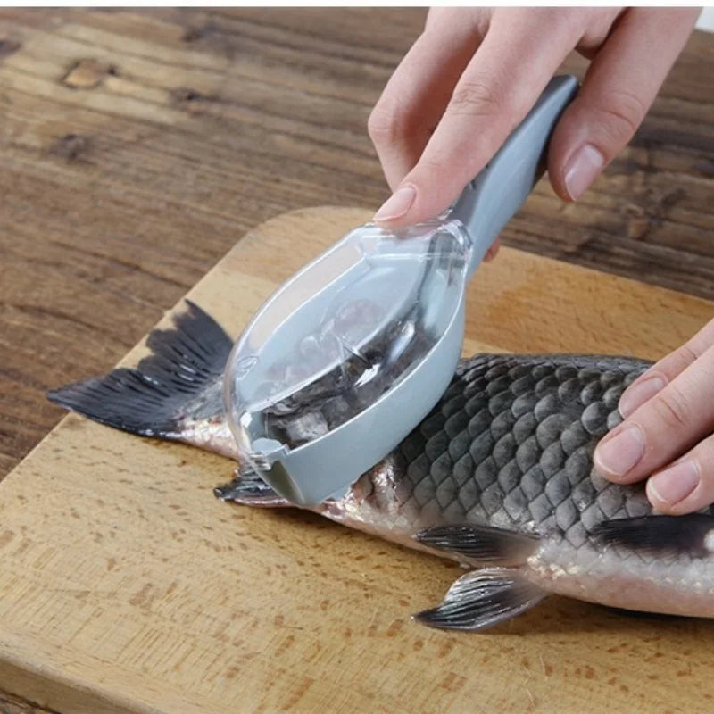Lifestyle - hand descaling fish
