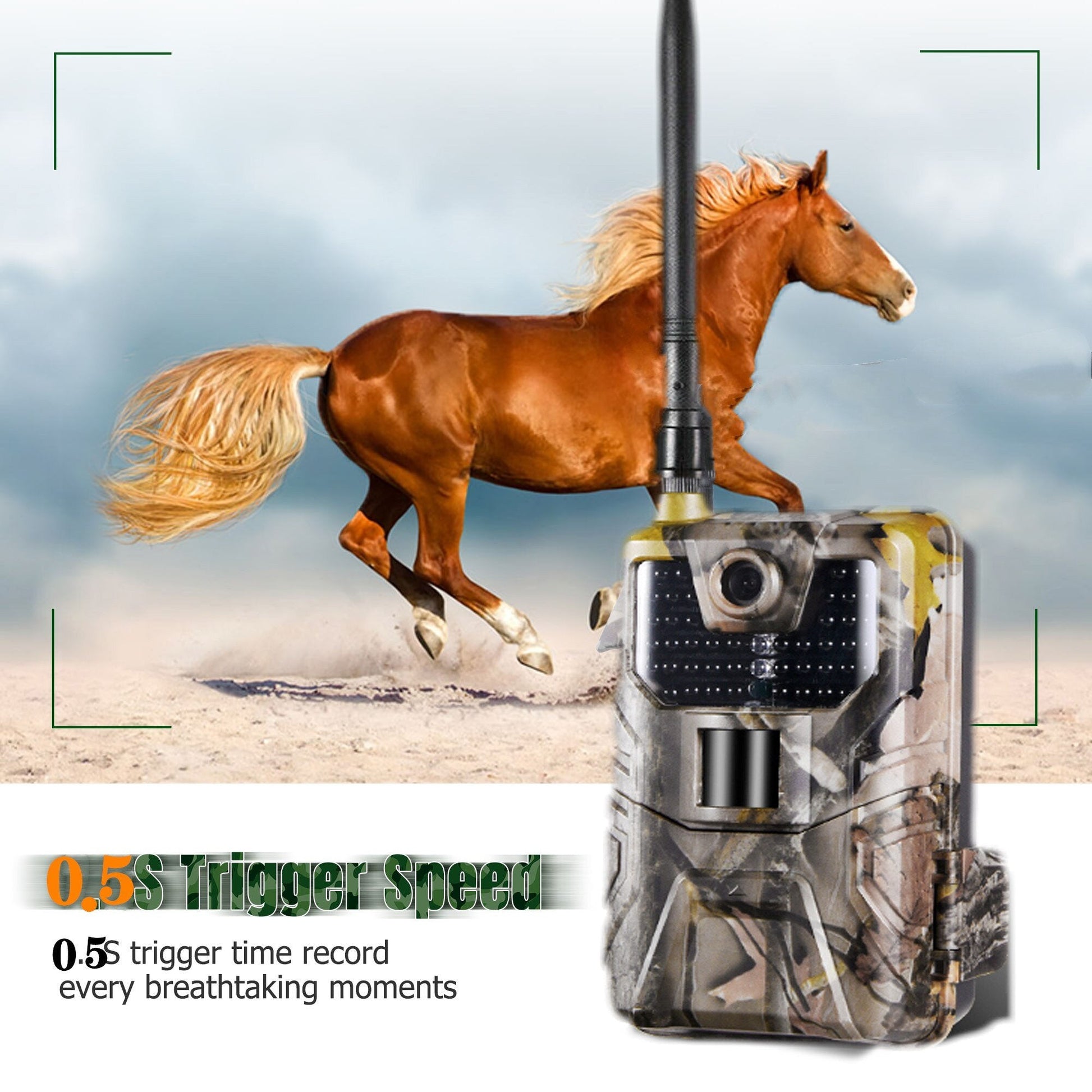 Cellular Wifi Trail Game Camera | Zincera